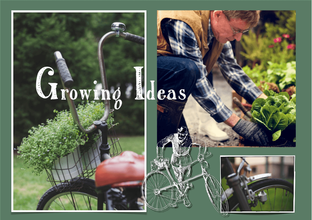 Pix illustrating Ideas grow like plants